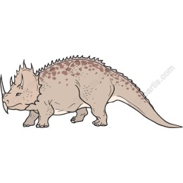 Triceratops