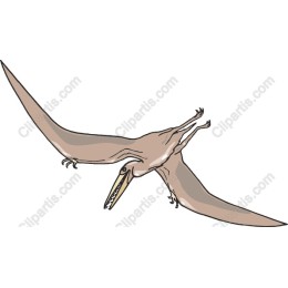 Pterosaur