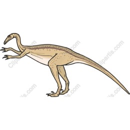 Theropod Dinosaur