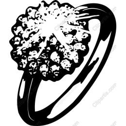 Floral Elegance Ring