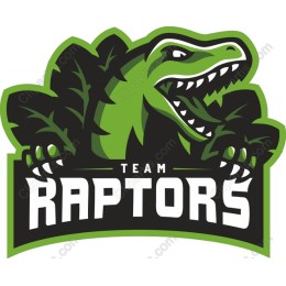 Team Raptors