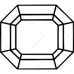 Elegant Octagonal Gemstone Outline