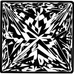 Dynamic Geometric Prism