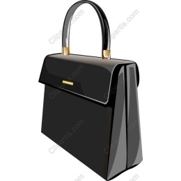 Elegant Black Handbag