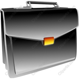 Elegant Briefcase