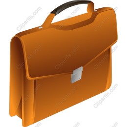 Stylish Orange Briefcase