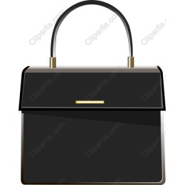 Elegant Black Handbag