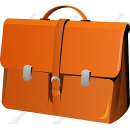 Elegant Orange Briefcase
