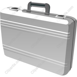 Sleek Silver Briefcase