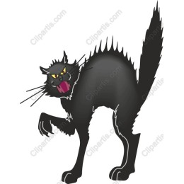 Fierce Black Cat