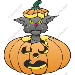 Charming Halloween Cat and Pumpkin