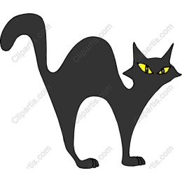 Black Cat