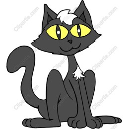 Playful Black Cat