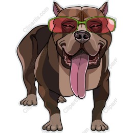 Stylish Dog with Glasses