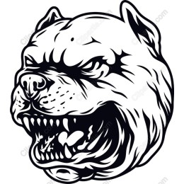 Fierce Pit Bull