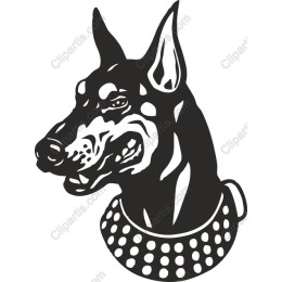 Doberman Dog Head