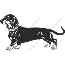 Dachshund Delight