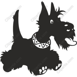 Charming Scottish Terrier
