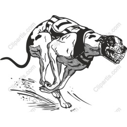 Dynamic Greyhound Racing