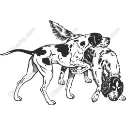Playful Dogs