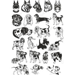 Dog Bundle
