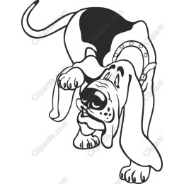 Playful Hound Dog
