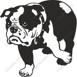 Charming Bulldog