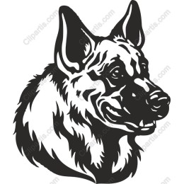 German Shepherd Head