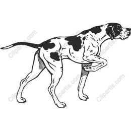 Great Dane