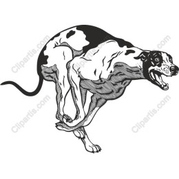 Dynamic Racing Dog