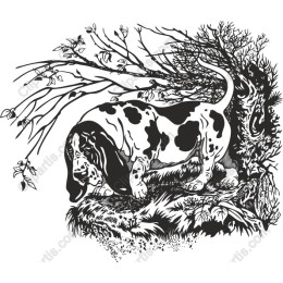 Basset Hound in Nature