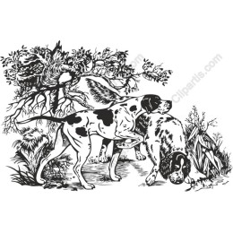 Canine Companions in Nature