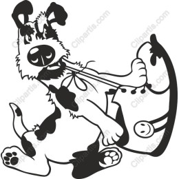 Playful Dog