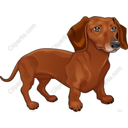 Dachshund Delight