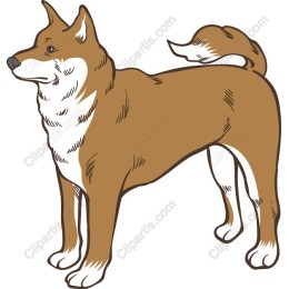 Charming Dog