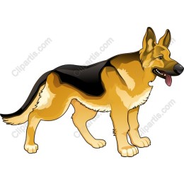 German Shepherd