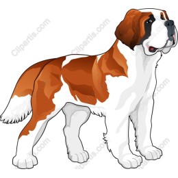 Saint Bernard