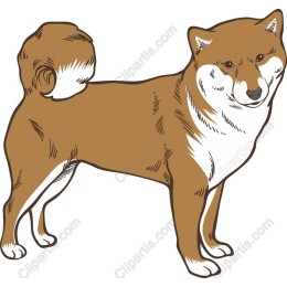 Shiba Inu Digital