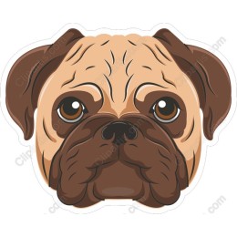 Adorable Pug