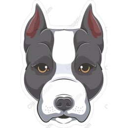 Bull Terrier Face
