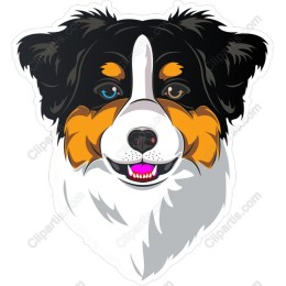 Charming Dog