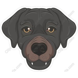 Charming Black Dog