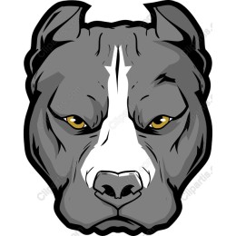 Pitbull Head