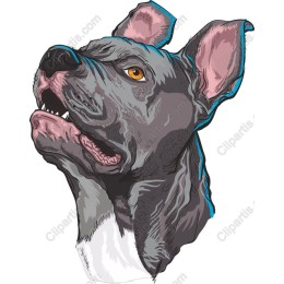 Fierce Dog Head