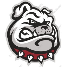 Fierce Bulldog