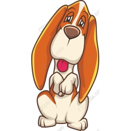 Adorable Playful Hound