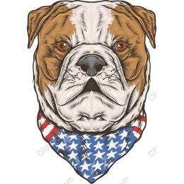Patriotic Bulldog