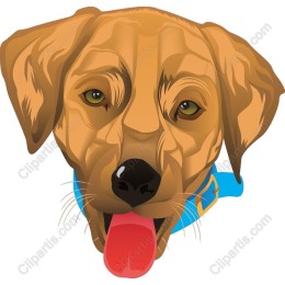 Playful Dog