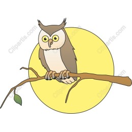 Whimsical Owl on a Branch