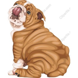 Charming Bulldog